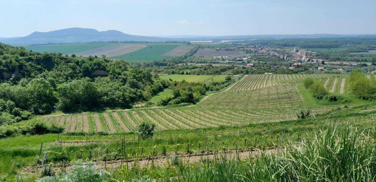 Ubytovani Na Sklepe U Prochazku Pouzdrany Exterior foto